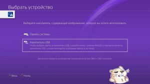 Как установить обои в пс4 с флешки