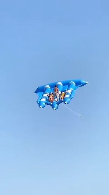 This thing is trying to kill you смотреть онлайн