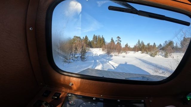 Где-то в лесу смотреть онлайн