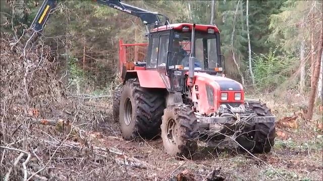 МТЗ - 1025.4 Создан для лесного хозяйства. смотреть онлайн