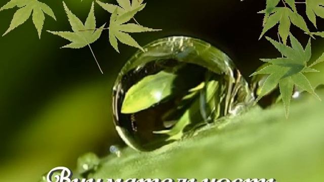 Капелька....mpg смотреть онлайн