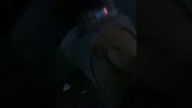 Прогулка с собакой) смотреть онлайн