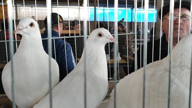 16.03.2025г ст. Бронницы ч. 2 👍 смотреть онлайн