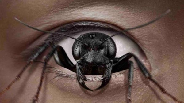 Демон контроля (2025) / Control Freak