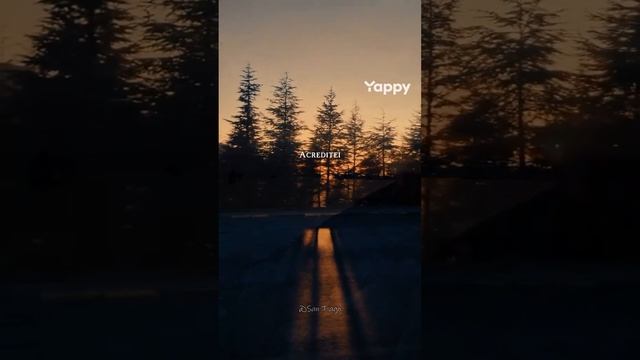 юб смотреть онлайн