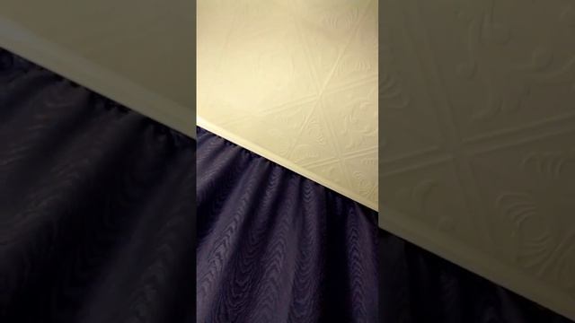 из жизни китайской розы. смотреть онлайн