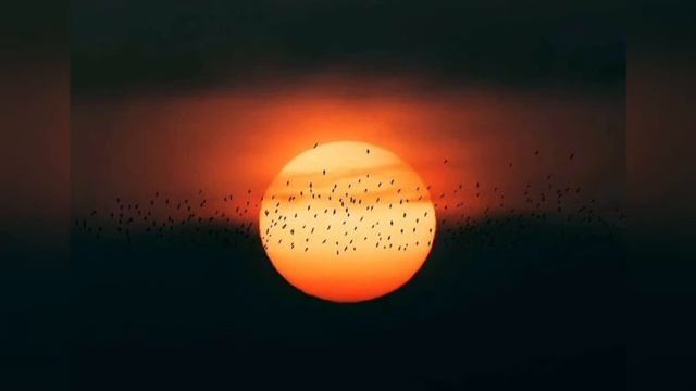 Ночной Поезд & ManillA - Она кричала о любви смотреть онлайн