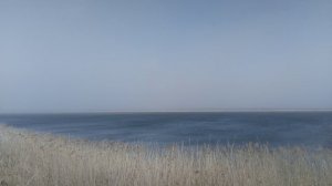 Ветер на речке VID_20250316_130010