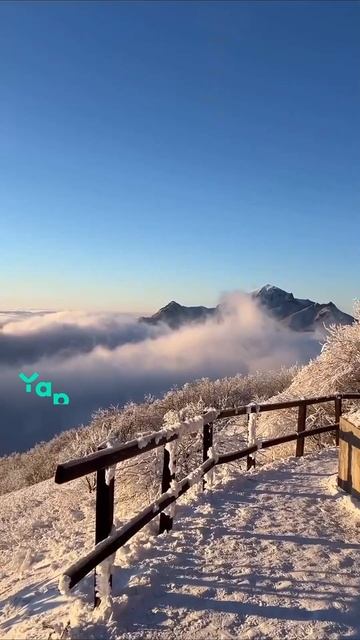 взаимно смотреть онлайн