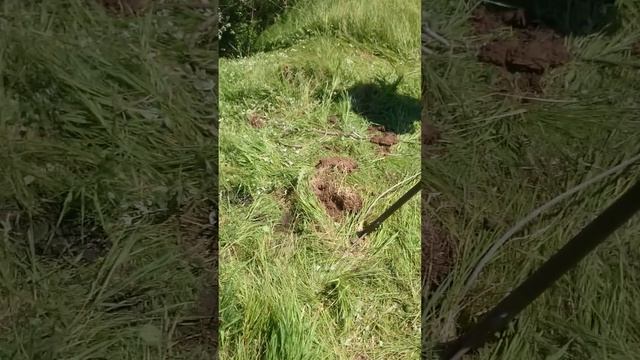 MOV 0233 смотреть онлайн