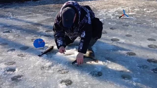 16-03-2025 смотреть онлайн