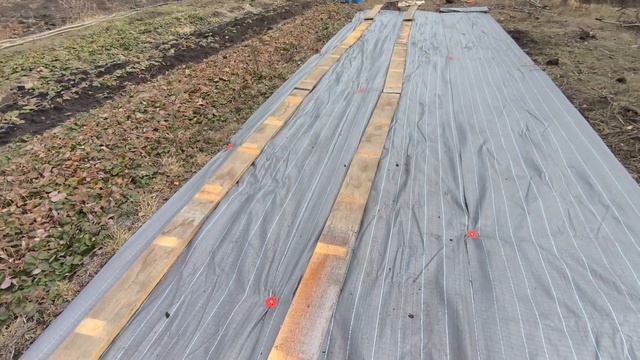 Бюджетный череночник своими руками 🥰 смотреть онлайн