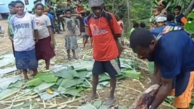 Desa Lolim Distrik Kiwirok Kabupaten Pegunungan Bintang 2015 смотреть онлайн