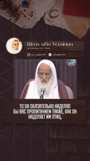 Ибн Усеймин (46)