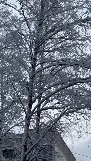 После снегопада ❄️ смотреть онлайн