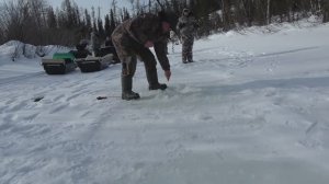 КАК ЛОВЯТ РЫБУ НА БАХТЕ ?! ЗИМА. ТРЕЩИТ ЛЕСКА ОТ ТАКОЙ РЫБЫ !!