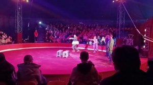 Цирк Шапито программа Зов Джунглей рядом с трц Метро Екатеринбург 15 марта 2025 года