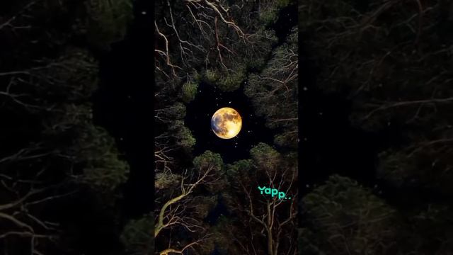 Взаимоподписка смотреть онлайн