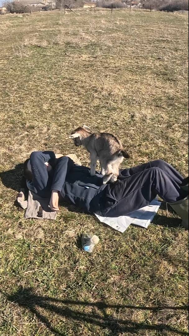 Как же мне в краю родном
Не заботиться о нём! смотреть онлайн