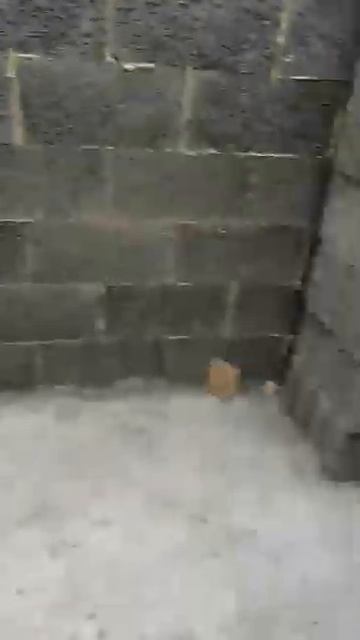 Скорость строительства монолитного дома смотреть онлайн