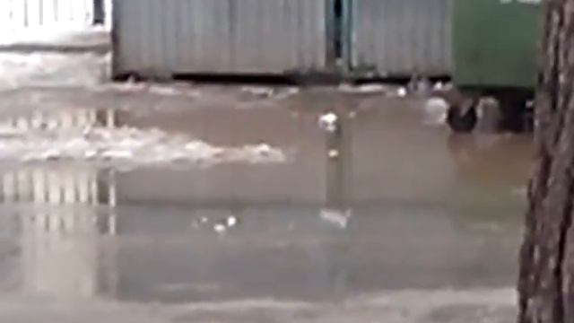 крысы на помойке смотреть онлайн