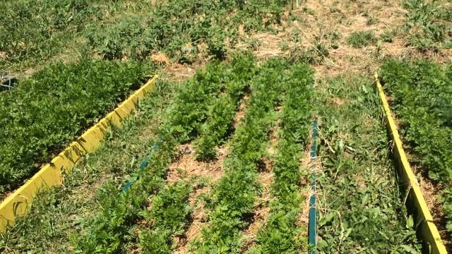 Огород без хлопот смотреть онлайн