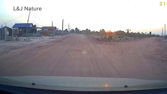 Beautiful scenic roads. Run Ta Ek 2023 #banteaysrey #siemreap смотреть онлайн
