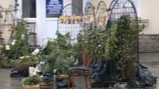 Саженцы вне закона смотреть онлайн
