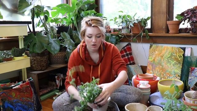 Repotting House Plants + Life Update + Mental Health смотреть онлайн