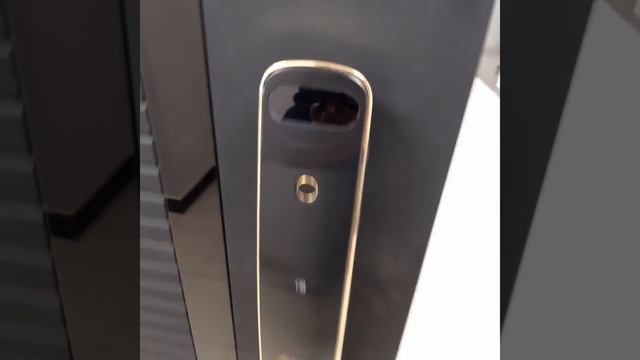 Обзор и установка биометрического дверного замка Lamborgini