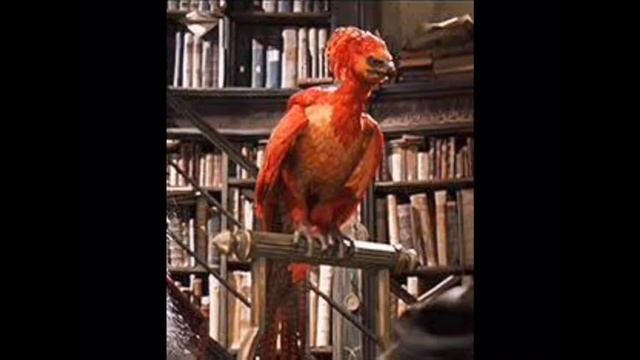 Lego Harry Potter set rumours. Lego News смотреть онлайн