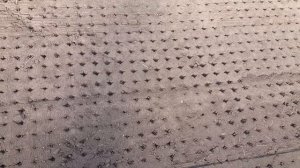 Вакуумная сеялка для редиса.