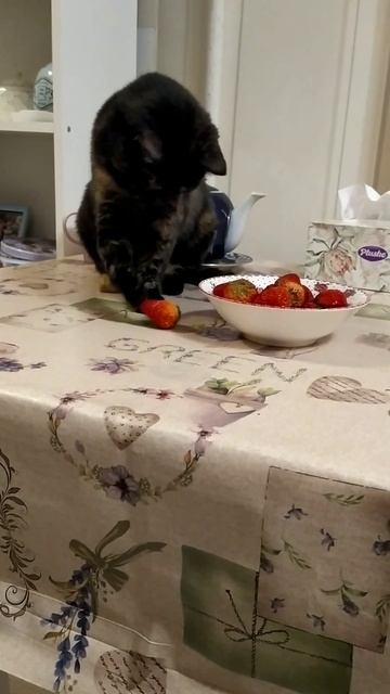 ягода-малина смотреть онлайн