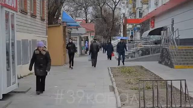 В Анапе арестовали партию заражённого мяса смотреть онлайн