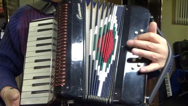 Camerano 12 bass piano accordion смотреть онлайн