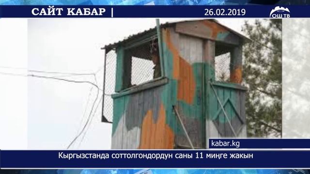 #ОшТВ | 500 сом үчүн аялын өлтүргөн шектүү кармалды смотреть онлайн