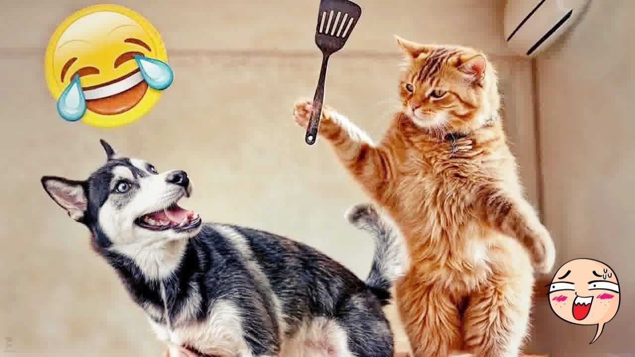 Смешные домашние животные 2025🤣 Лучшие моменты ☠️ СМЕШНОЕ ВИДЕО о Животных 2025!😈 СМЕШНЫЕ ЖИВОТНЫЕ смотреть онлайн