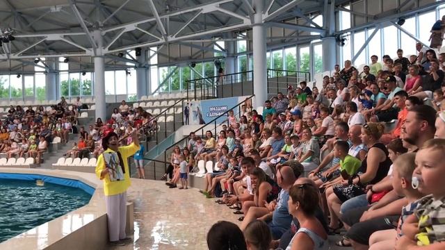 Дельфинарий Евпатория полное выступление. смотреть онлайн