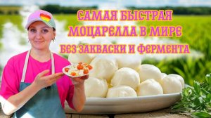 Как сделать самую быструю Моцареллу в Мире !  СЫР БЕЗ ЗАКВАСКИ И ФЕРМЕНТА / Сыроварня Елисеевых