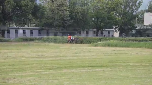 Скачки «Стипль-Чез»