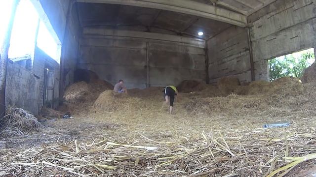 Винты с рондата смотреть онлайн