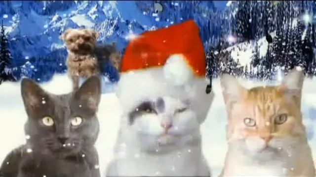 Melissa Tom.flv смотреть онлайн