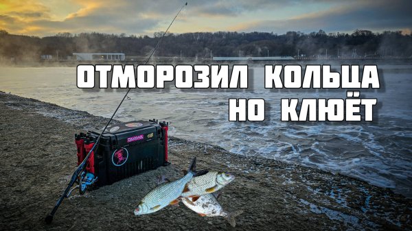 CF Alpha в ALSR712ULS в мороз | Ловлю лютую плотву на воблеры