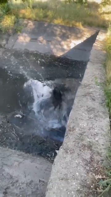 скинул камень в воду #водолей #камень #говорю смотреть онлайн
