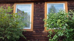 Ухоженная дача в экологически чистом месте