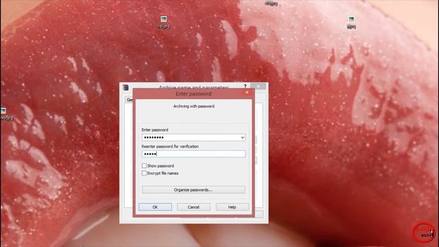 How To Put a Password On Winrar Tamil смотреть онлайн