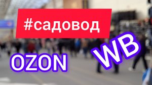 САДОВОД-КАК ОДИН РЫНОК ОДЕВАЕТ ВСЮ СТРАНУ/КОРОТКИЙ ОБЗОР РЫНКА САДОВОД