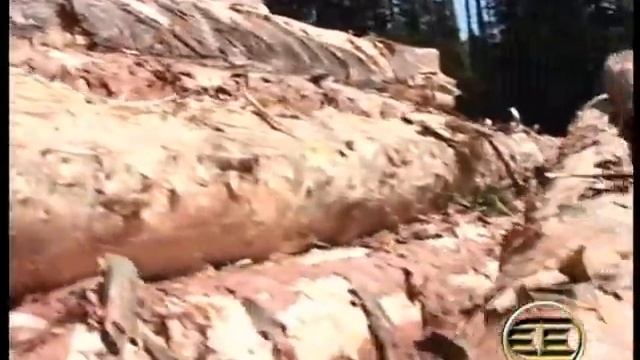 Презентация ОАО Амкодор смотреть онлайн