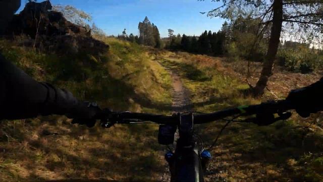 Mabie forest descender bender смотреть онлайн