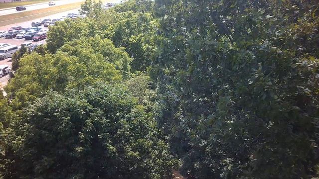 Raven - Holiday World - Row 5 (4K HD POV) - June 2024 смотреть онлайн